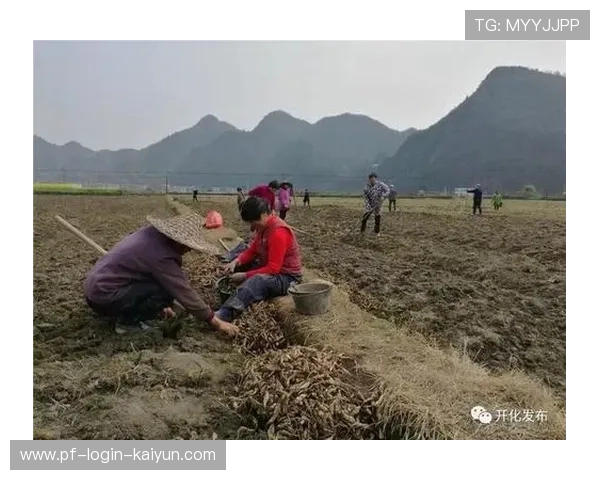 农业合作社邀请体医专家为社员开展讲座 农业合作社邀请体医专家为社员开展讲座